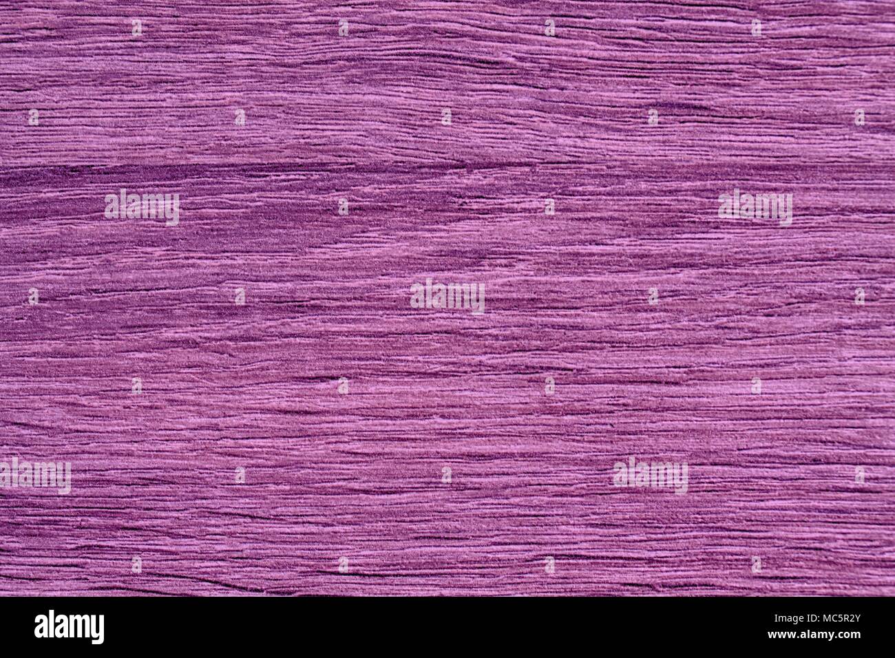 Lila Holz- Textur, leere Holz Hintergrund, rissige Oberfläche. Stockfoto