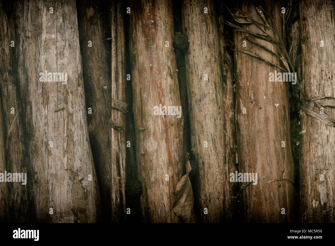 Bambus wand Textur Hintergrund. Holz- Textur für Website oder mobile Geräte Stockfoto