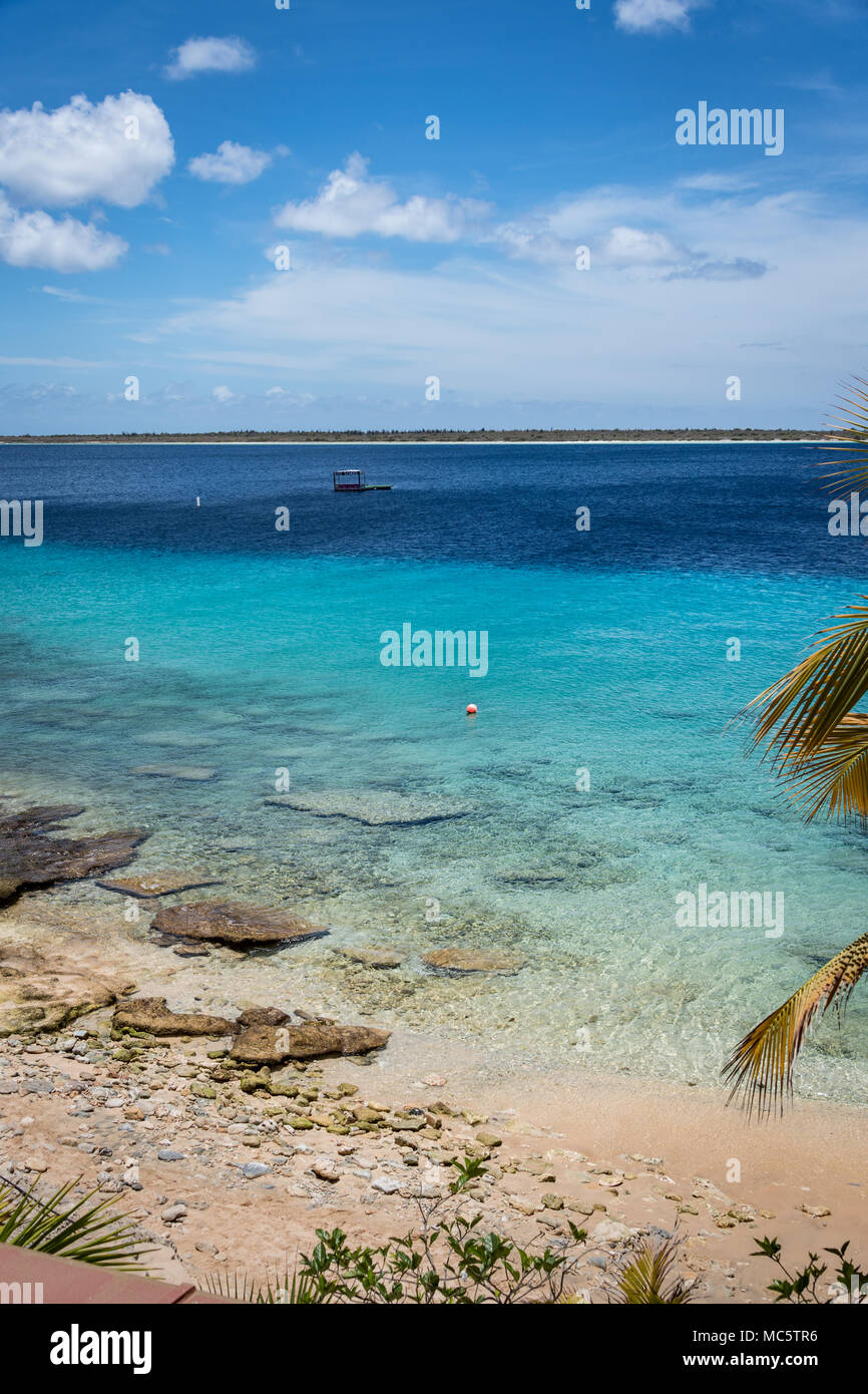 Karibik Schattierungen von Türkis an der Westküste von Bonaire, Niederländische Antillen Stockfoto
