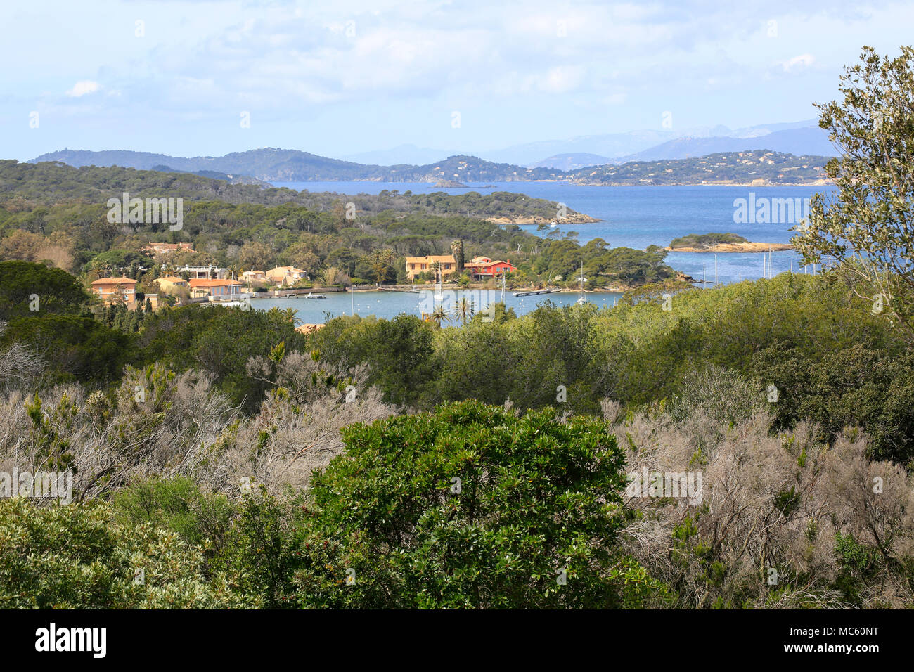 Die Küste der Insel Porquerolles von oben gesehen mit der Marina und seine grüne und üppige mediterrane Vegetation Stockfoto
