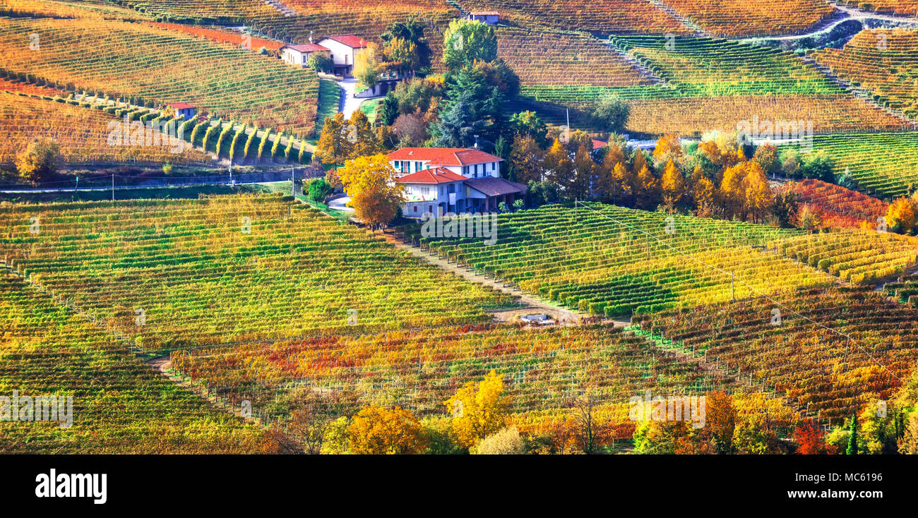 Beeindruckende Herbst Landschaft, Blick auf die bunten Weinberge, Piemont, Italien. Stockfoto