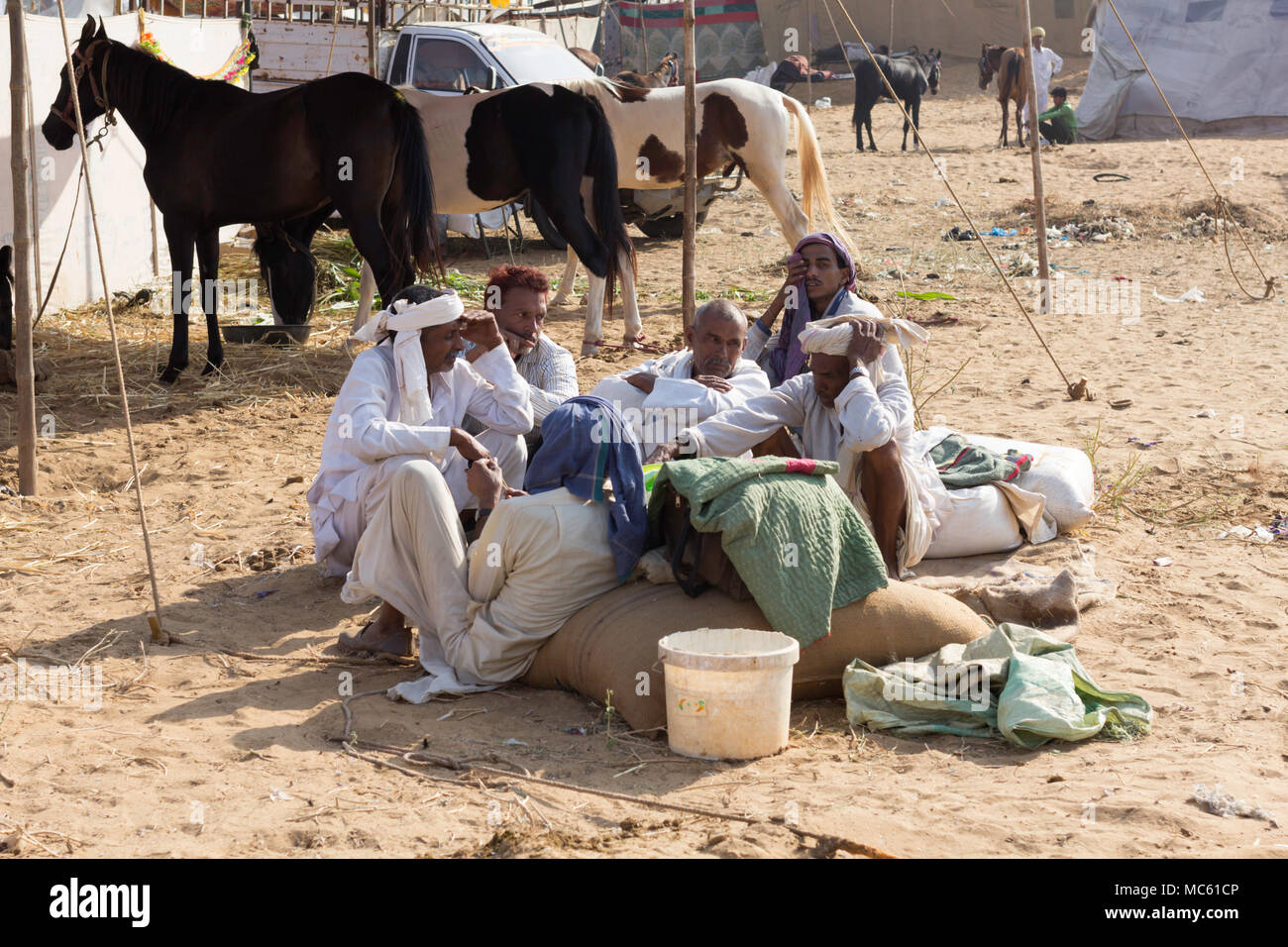 Händler und Marwari Pferde an den Pushkar Camel Fair, Rajasthan, Indien. Stockfoto