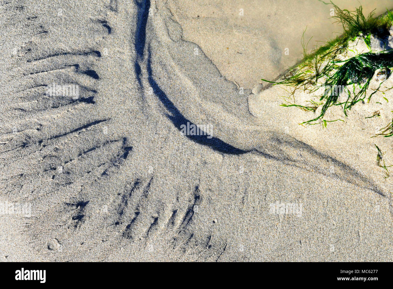 Sand Muster und Texturen. Stockfoto