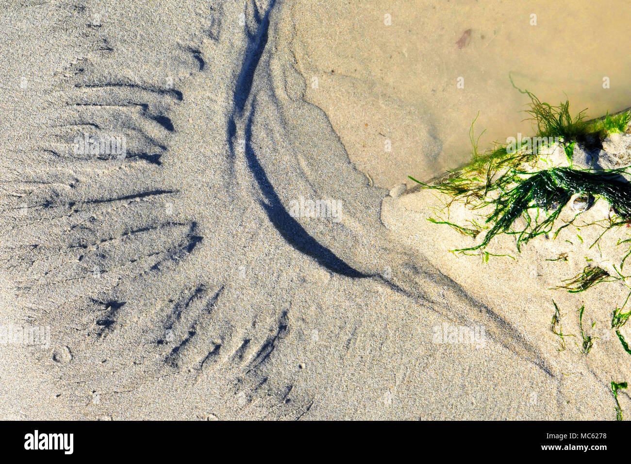 Sand Muster und Texturen. Stockfoto