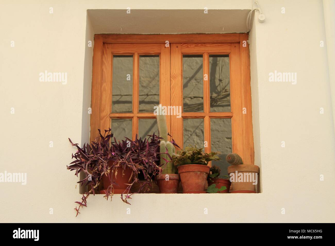 Topfpflanzen auf der Fensterbank, Alhama de Granada, Spanien Stockfoto