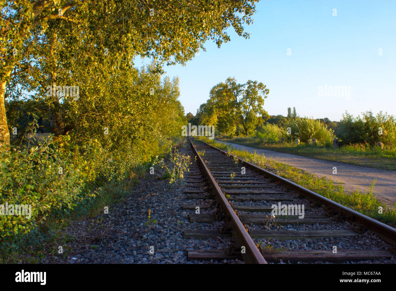 Im Vordergrund sind Bäume und Sträucher. Railroad Tracks werden durch Sonnenuntergang beleuchtet. Sie laufen hinter dem Horizont. Neben der Schiene ist der Weg. In t Stockfoto