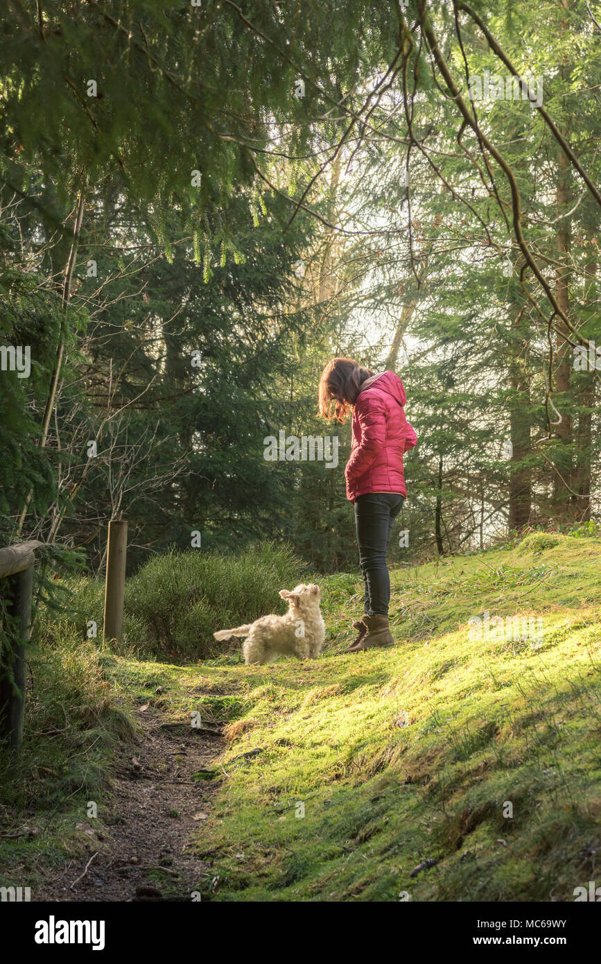 Junge brünette Frau mit ihrem Hund auf einem wandern Gasse im Schwarzwald auf einem sonnigen Tag Stockfoto