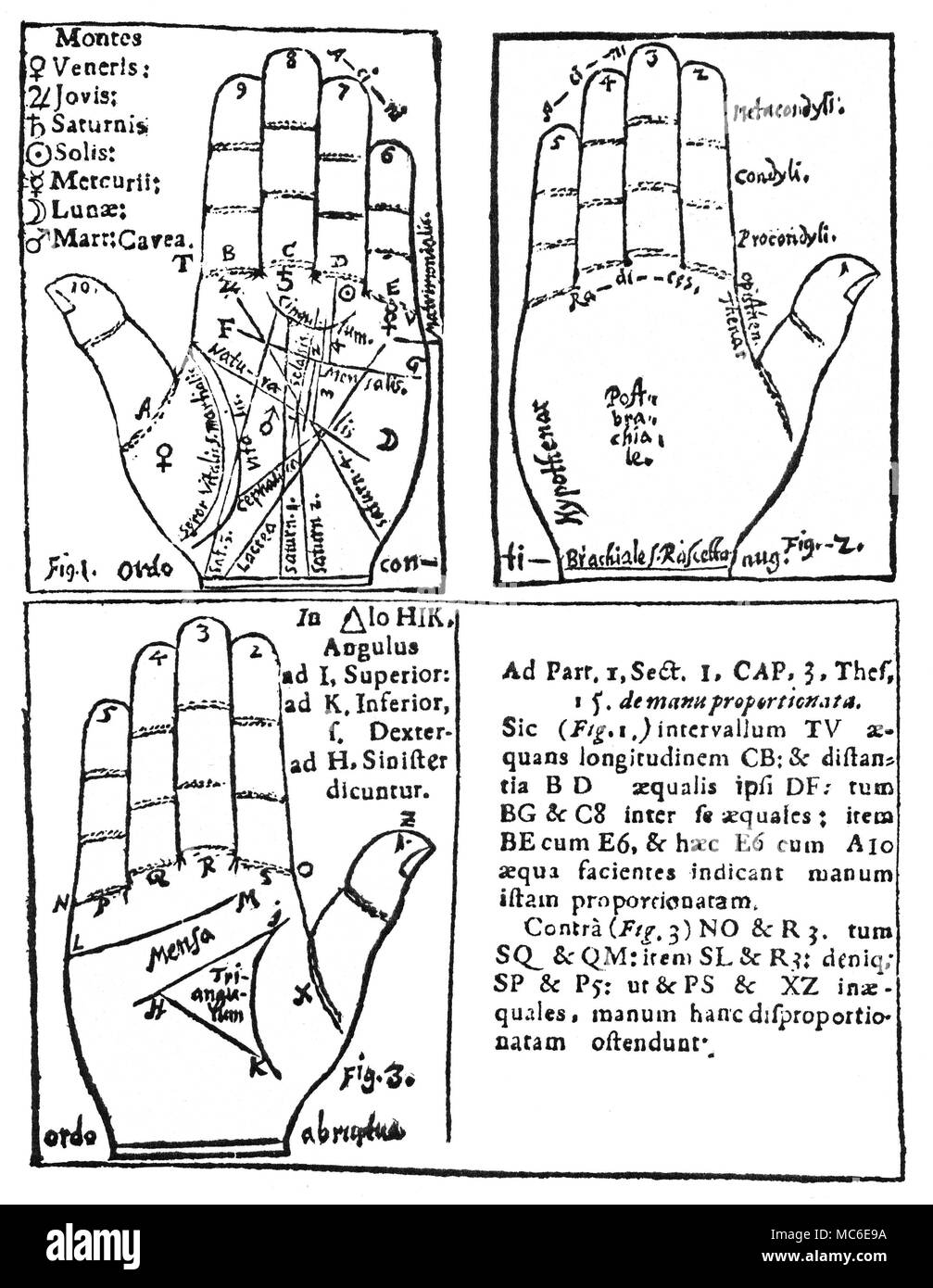 Handlesen drei Diagramme von Nicholas Pompeius, praecepta Chiromantica, 1682. Links oben steht für die Namen und Orte der Befestigungen, zusammen mit dem Namen der wichtigsten Linien. In der linken oberen Ecke, der dieses Diagramm, sind die Namen der Halterungen, mit den entsprechenden planetaren Siegel: in absteigender Reihenfolge, diese sind, Venus, Jupiter, Saturn, Sonne, Merkur, Mond und Mars. Unter den interessanten mittelalterlichen Variante Namen für die wichtigsten Linien ist die Naturalis (der natürlichen oder Äquivalent der modernen Kopf Position), Cingulum (oder Gürtel der Venus, unterhalb der Berge von Saturn und Sonne) und Mensalis, Stockfoto