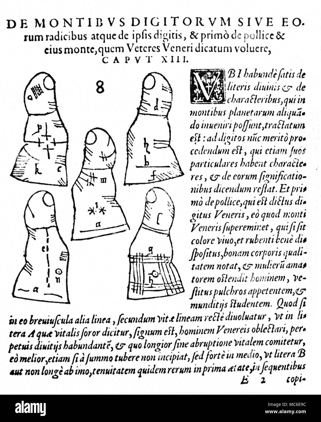 Handlesen die Bedeutung bestimmter Markierungslinien auf fünf Daumen. Die Lateinische Bezeichnung übersetzt, über die Befestigungen der Finger, oder Wurzeln, und der Finger mit diesen verknüpft. Erstens, die sich mit dem Daumen und seine Halterung, w elche die alten waren geneigt, zu rufen, dass der Venus. Von der Opus Mathematicus von Taisnier, 1562. Stockfoto