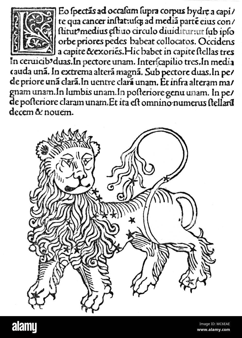 Astrologie - LEO das Sternbild Leo (der Körper des Löwen mit Sternen), von Hyginius, Poeticon Astronomicon 1493. Stockfoto