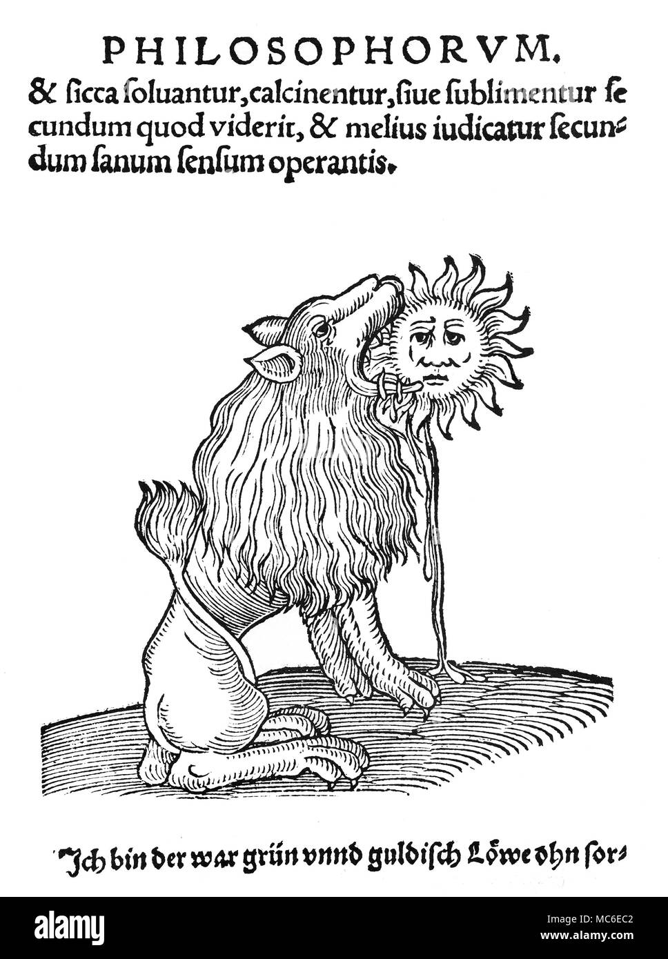 Alchemie - GRÜNE LÖWE Der Grüne Löwe - eines der mehreren Stufen bei der Herstellung der Stein der Weisen. Von einem Deutschen alchemistische Texte von ca. 1530. Stockfoto