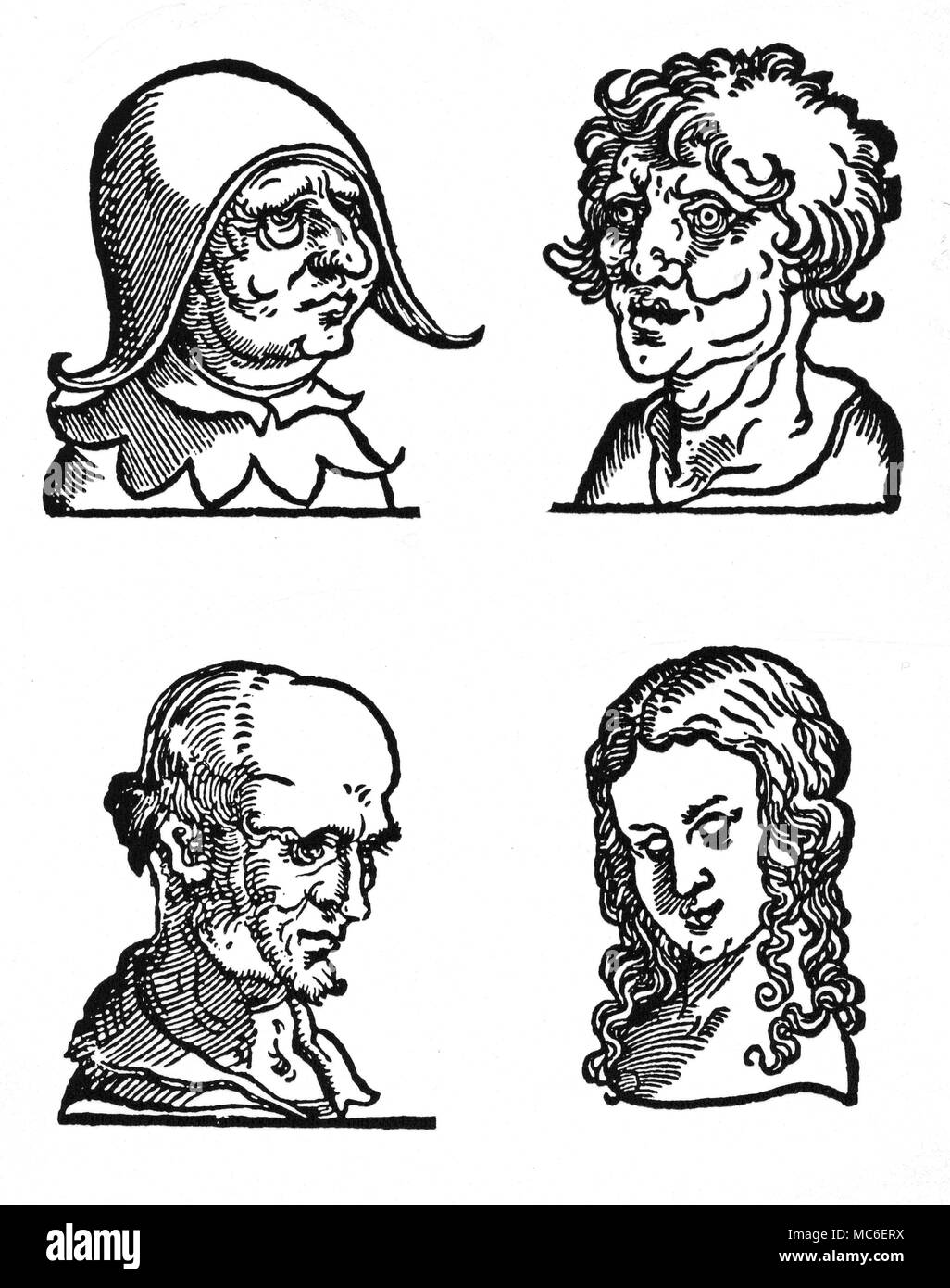 Physiognomie vier Köpfe, illustrativ für physiognomical Merkmale, von Barthelmy Cocles, Physiognomia, 1533. [Top Links und Rechts] Augen faul und gefräßig Männer. [Links] Stirn eines jähzornigen und grausamen Menschen. [Bottom righ] Kopf einer Frau von einer Art und ausgezeichnete Disposition. Stockfoto