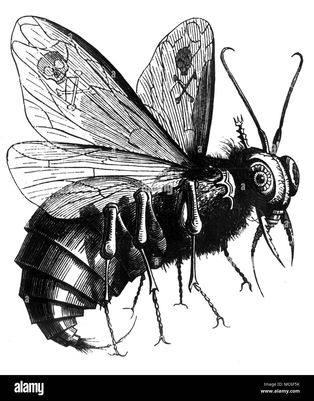 Der Dämon Beelzebub, dessen Name bedeutet (nach einigen) "Herr der Fliegen", wie sie von der journalistischen occulist dargestellt, Collin de Plancy, in seinem Wörterbuch Infernal, 1863. Stockfoto