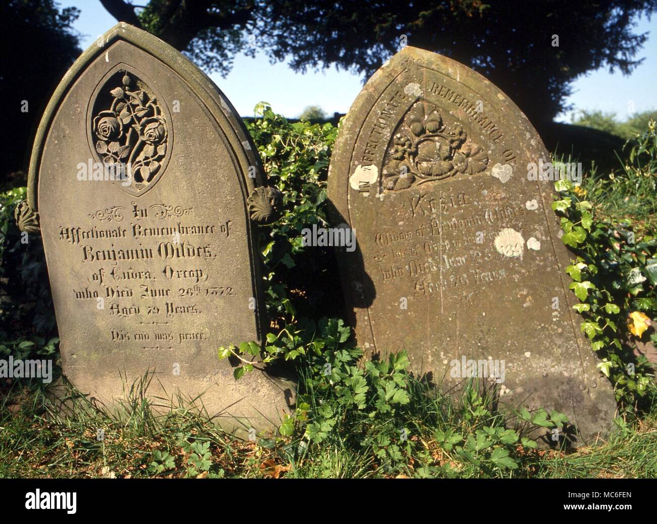 Pflanzen kriechende Efeu auf Grabsteine auf dem Friedhof der Kirche Kilpeck (in der Nähe von Hereford) Stockfoto