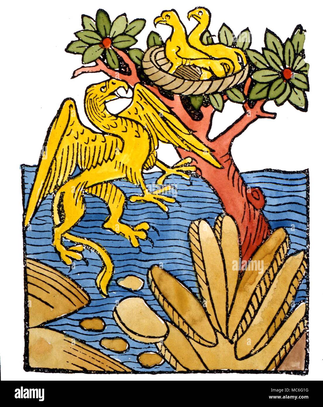 Die fabelhafte Griffin, mit Flügel und Kopf eines Adlers und den Körper eines Löwen, fliegen in Richtung zu seinem Nest. Aus dem sechzehnten Jahrhundert Holzschnitt Bestiarium. Stockfoto
