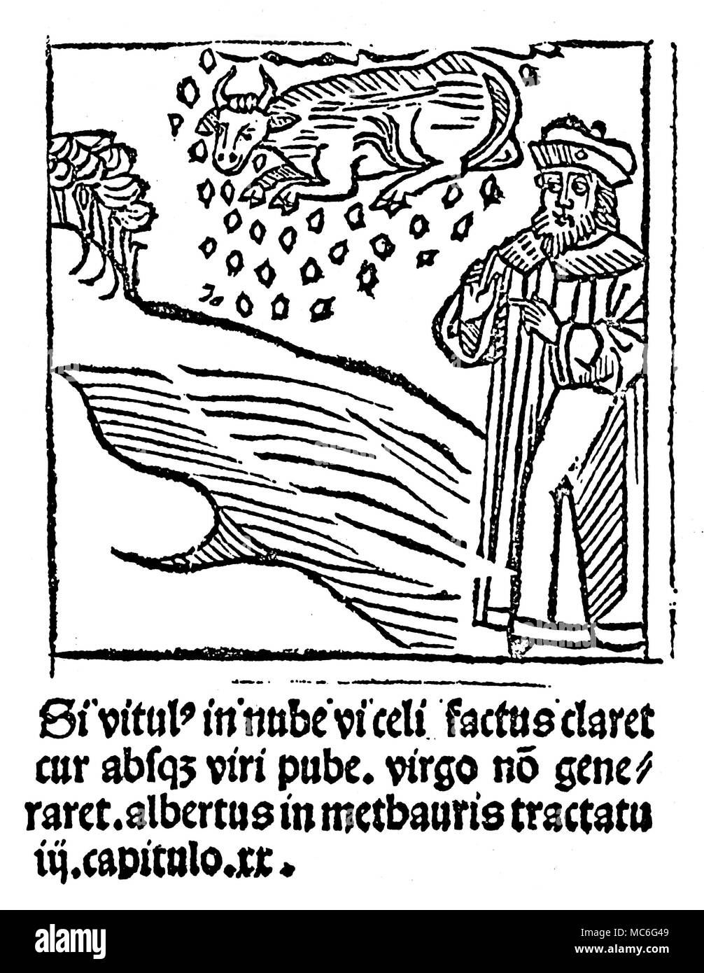 Merkwürdige Phänomene - CLOUD-Kalb das 'Wunder' einer wie ein Kalb in den Wolken [und fallen vom Himmel geboren werden können, wie Schnee]. Der Holzschnitt, illustriert dieses Wunder, ist ein visuelles Argument, wenn es dann passieren kann, warum sollte nicht das Wunder der Jungfrauengeburt auch auftreten. Holzschnitt aus Franciscus de Retza, Defensorium inviolatae virginitas Mariae, Ende des 15. Jahrhunderts. Stockfoto