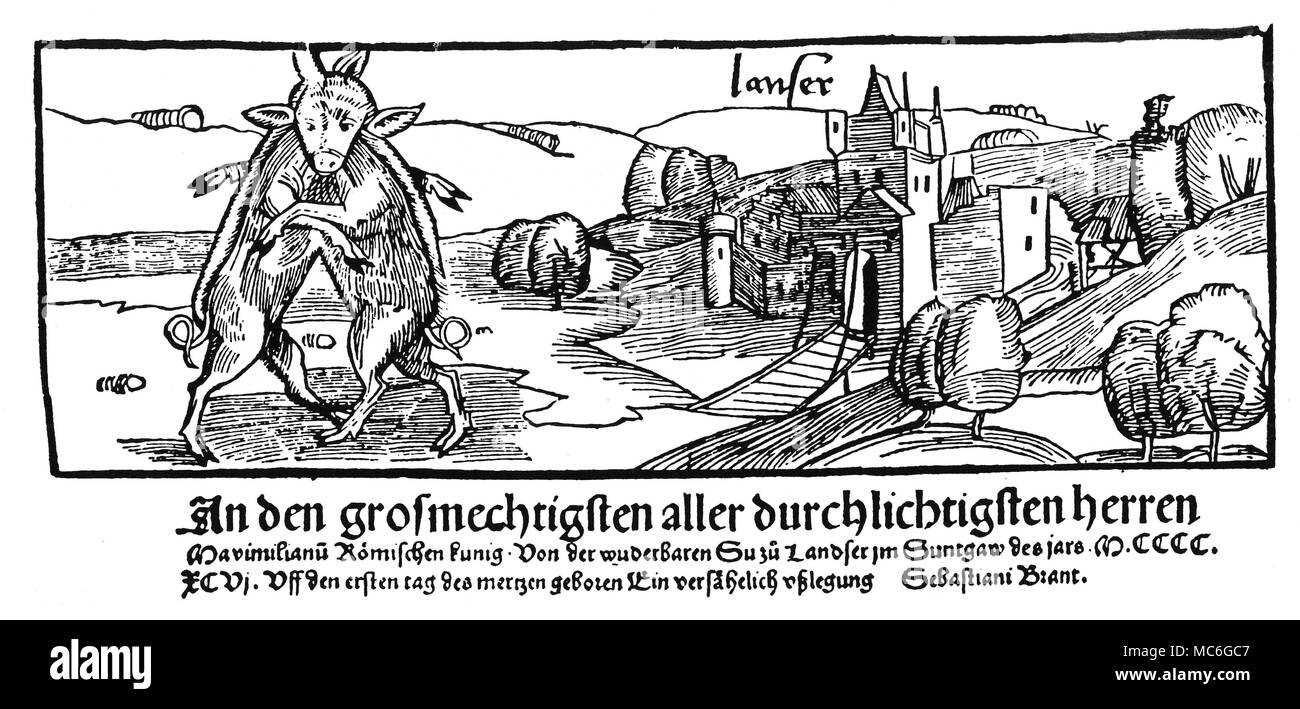Merkwürdige Phänomene - MONSTER Prospekt von 1496, die Meldung der Geburt eines merkwürdige oder ungewöhnliche Schwein (das Schwein von Landser), mit zwei Instanzen auf einem einzigen Kopf verbunden. Der deutsche Text ist dedicatory, Maximilian I., und die folgenden Verse zu Sebastian Brant. Das Drucken wurde wahrscheinlich in der Werkstatt der deutschen Künstlerin geschnitten, Albrecht DÂ³rer, der einen Kupferstich des gleichen seltsamen Phänomen der schomacker von Landser 1496 ausgestellt. Siehe Gravur Nr. 13 in Karl-Adolf Knappe, DÂ³rer. Das graphische Werk, 1964. Stockfoto