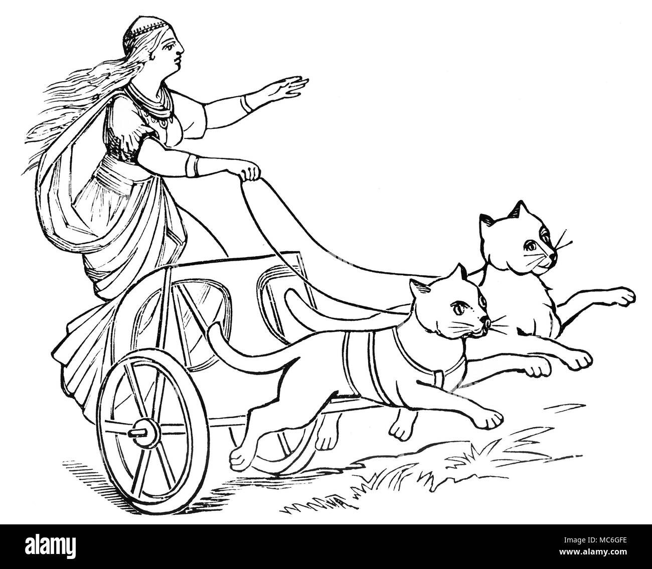 Germanische Mythologie - Freya, der Göttin Freya, die in ihrem Wagen von Katzen gezogen. Freya, die Frau von Odin, war ursprünglich eine Mondgöttin. Außer Sein eine der Muttergöttinnen, sie war auch ein Sibyl, begabt mit der Kraft der Prophetie. In einigen Bildern, Freya ist in einem Wagen von zwei Wildschweine zog gezeichnet. 19. jahrhundert Holz-Gravur. Stockfoto
