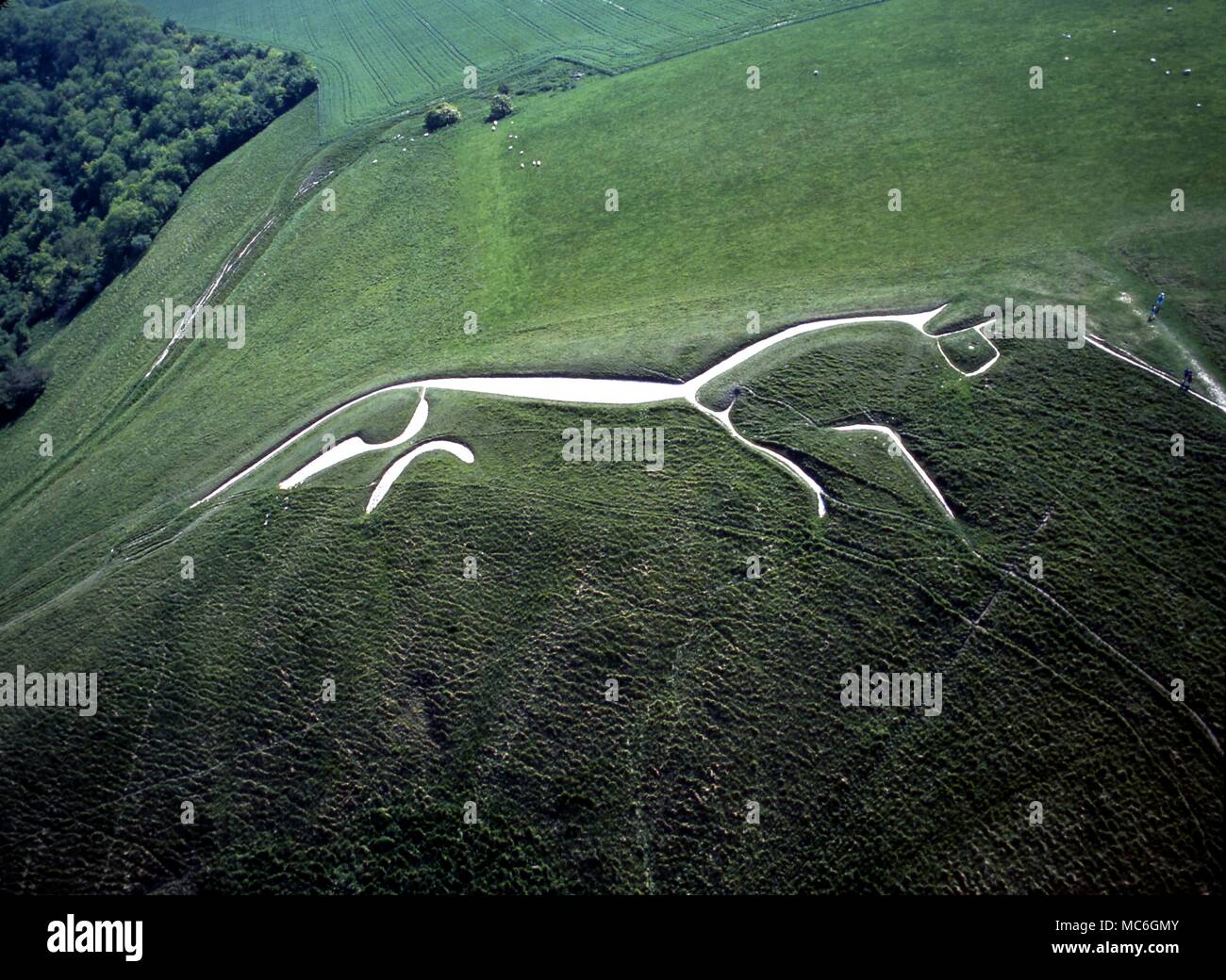 Antenne Großbritannien. Uffington White Horse, etwa 400 Meter von der Uffington fort. Dies ist der älteste White Horse in Großbritannien Zurück zur Eisenzeit datiert. Die Abbildung ist 360 Meter lang Stockfoto