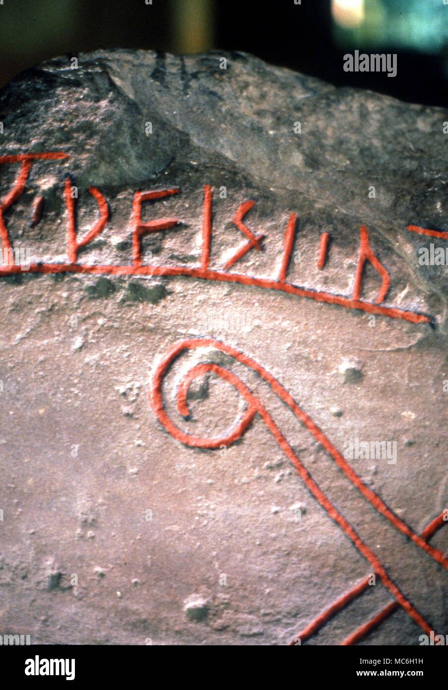 Details von Runen auf Skandinavischen rune Stein Lager interlace Drachen - Kopf Muster und zahlreiche inscripton Runen. Das Ashmolean Museum, Oxford Stockfoto