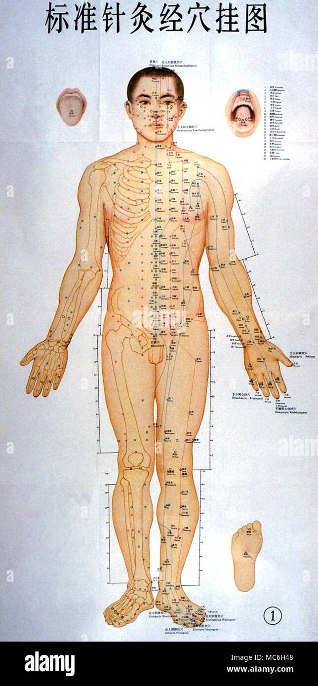 Chinesische Akupunktur Diagramm, in dem die Heilung Linien auf der Vorderseite des Körpers Stockfoto