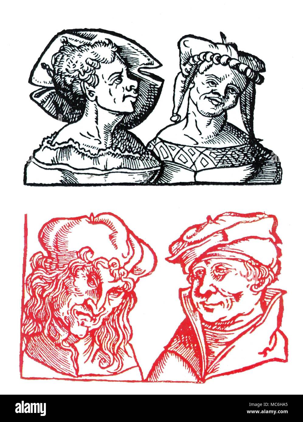 Physiognomie vier Köpfe in Bezug auf, wie die gesichtszüge zu bestimmten psychischen Antriebe, Impulse, Gelüste und Eigenschaften entspricht. Von Barthemy Cocles, Physiognomie, 1533. [Top] Nasen und das allgemeine Aussehen des vergeblich, unwahren und unbeständigen Frauen. [Links] Augen und Aussehen der Ränkeschmied. [Rechts], Augen und ein einfacher Mann. Stockfoto