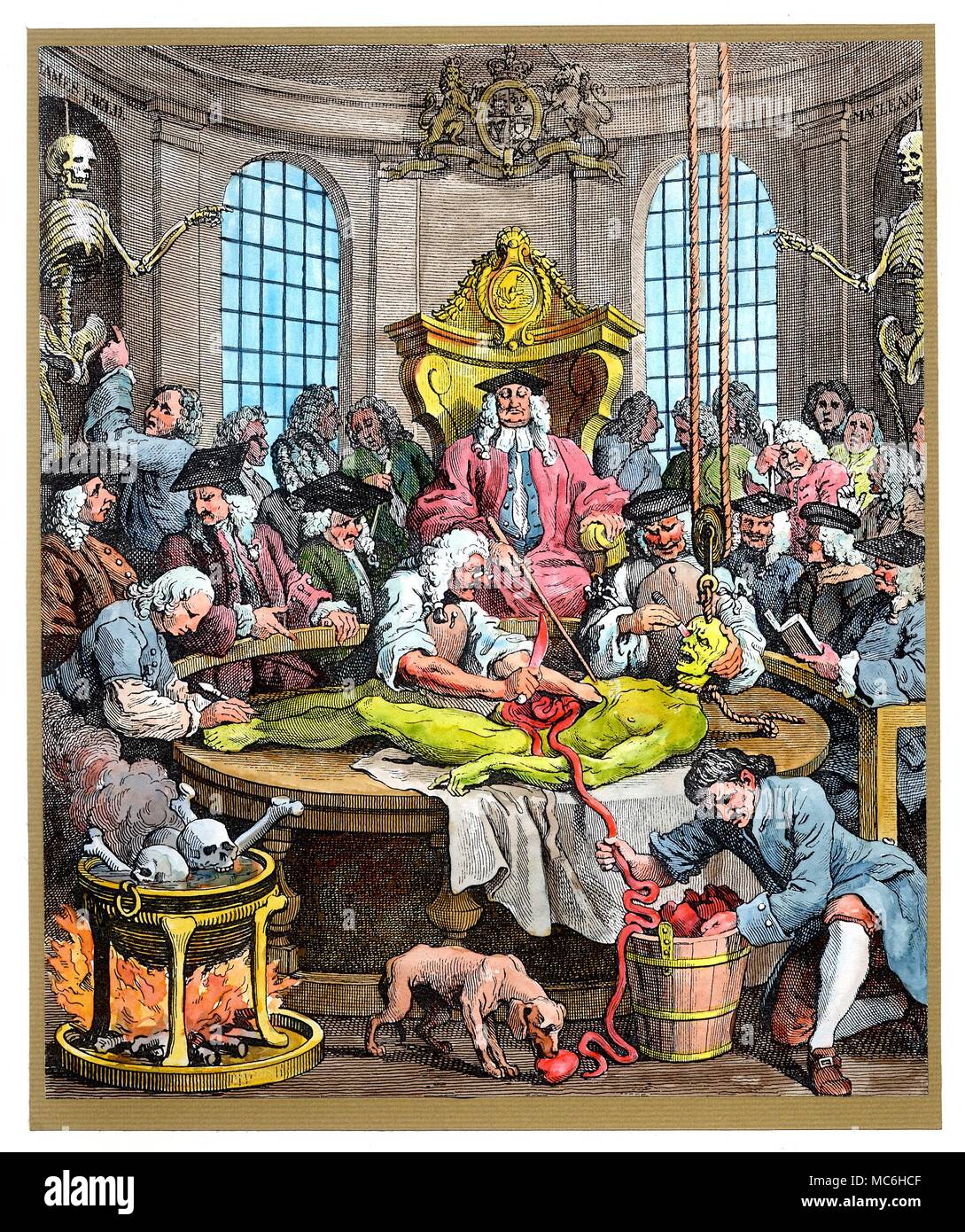 Medizinische Dissektion des menschlichen Körpers: Stich von William Hogarth [1697-1764]. Stockfoto