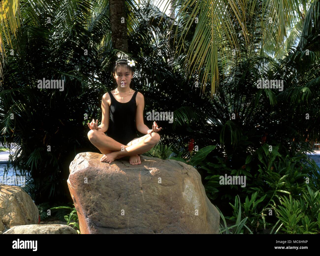 Mädchen meditierend auf einem Felsen unter einer Palme. Stockfoto
