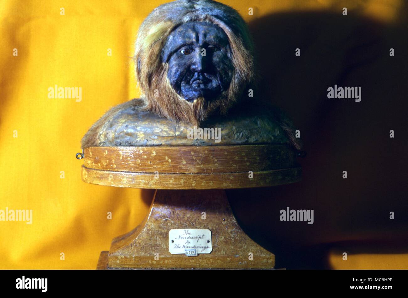 Monster. Der UNSCHEINBAREN. Diese taxidermy Schaffung von Charles Waterton (1782-1865) war wahrscheinlich in Guyana vom hinteren Ende eines roten Brüllaffen. Es ist in Wakefield Museum Stockfoto