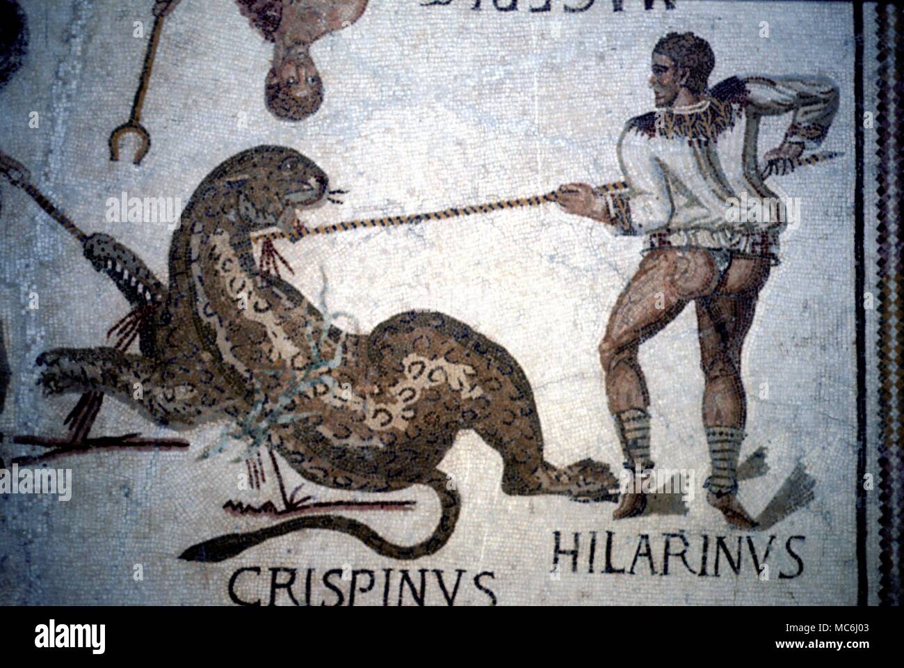 Römische Mythologie Gladiatoren Ein Gladiator namens Hilarinus Angriff auf einen Tiger mit einem pilus Detail der Gladiatoren Mosaik in Sousse Tunesien Museum Stockfoto
