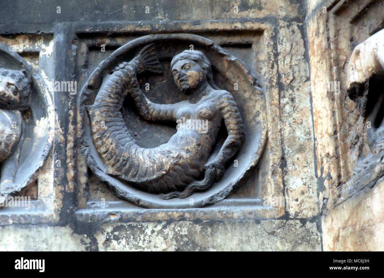 Mermaid Meerjungfrau aus den mythologischen roundels auf der Fassade opf das Baptisterium in Parma IItaly dreizehnten Jahrhundert Stockfoto