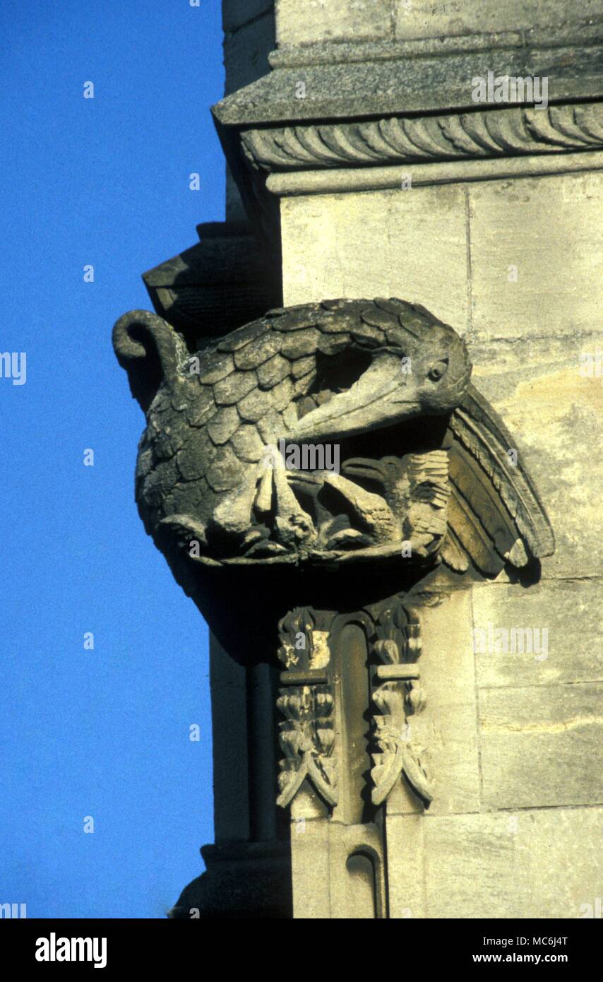 Pelikan Detail der Skulptur an der Fassade der Kathedrale von Truro ein Pelikan ihre Jungen füttern mit ihrem eigenen Blut das ist sowohl ein Christ und einem alchemistischen Bild Stockfoto