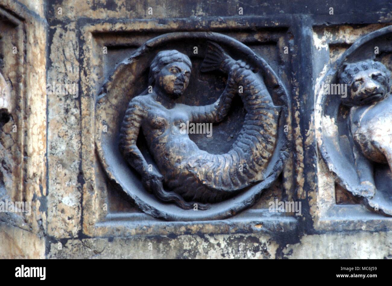 Mermaid Relief auf der Außenseite der achteckige Baptisterium in Parma, Italien Stockfoto
