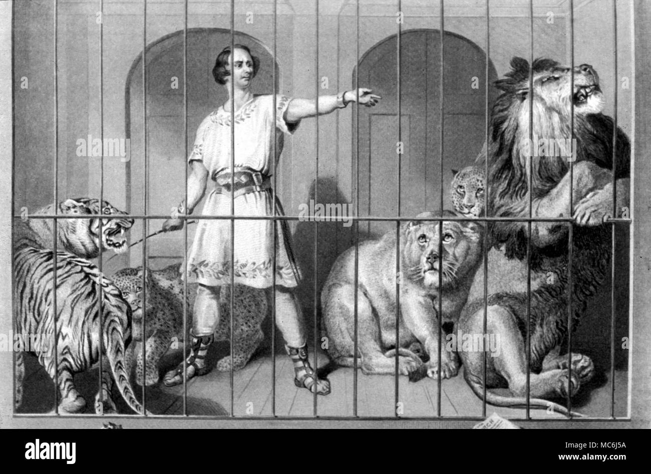 Löwenbändiger ein Bild im Auftrag des Herzogs von Wellington Van Amburgh und die Löwen Kupferstich von Alais nach dem Gemälde von Sir E Landseer Stockfoto