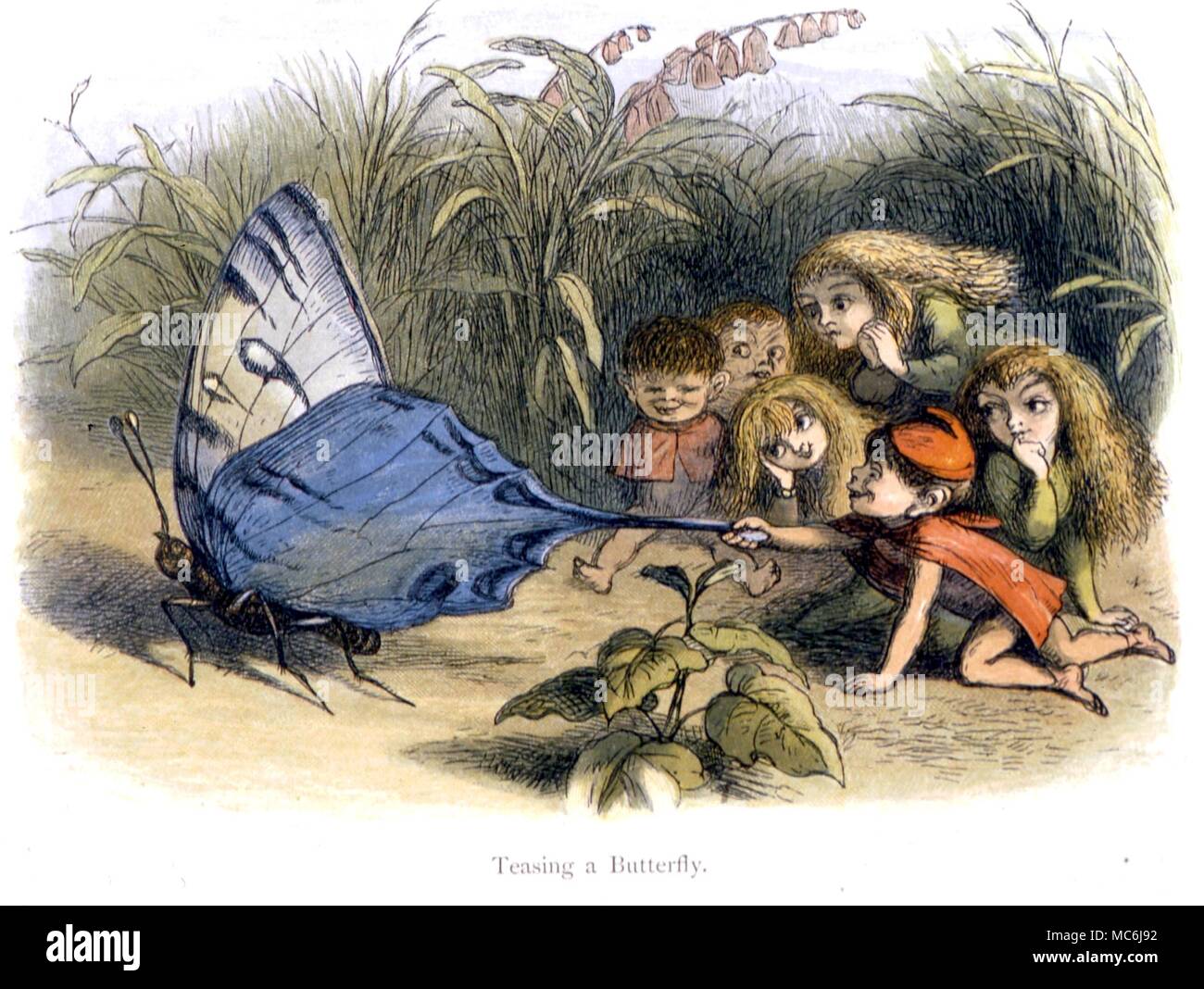 Feen und Elfen. "Schmetterlingskrater", necken. Von Richard Doyle's im Märchenland. Eine Reihe von Bildern aus dem Elf-World, 1875 Stockfoto