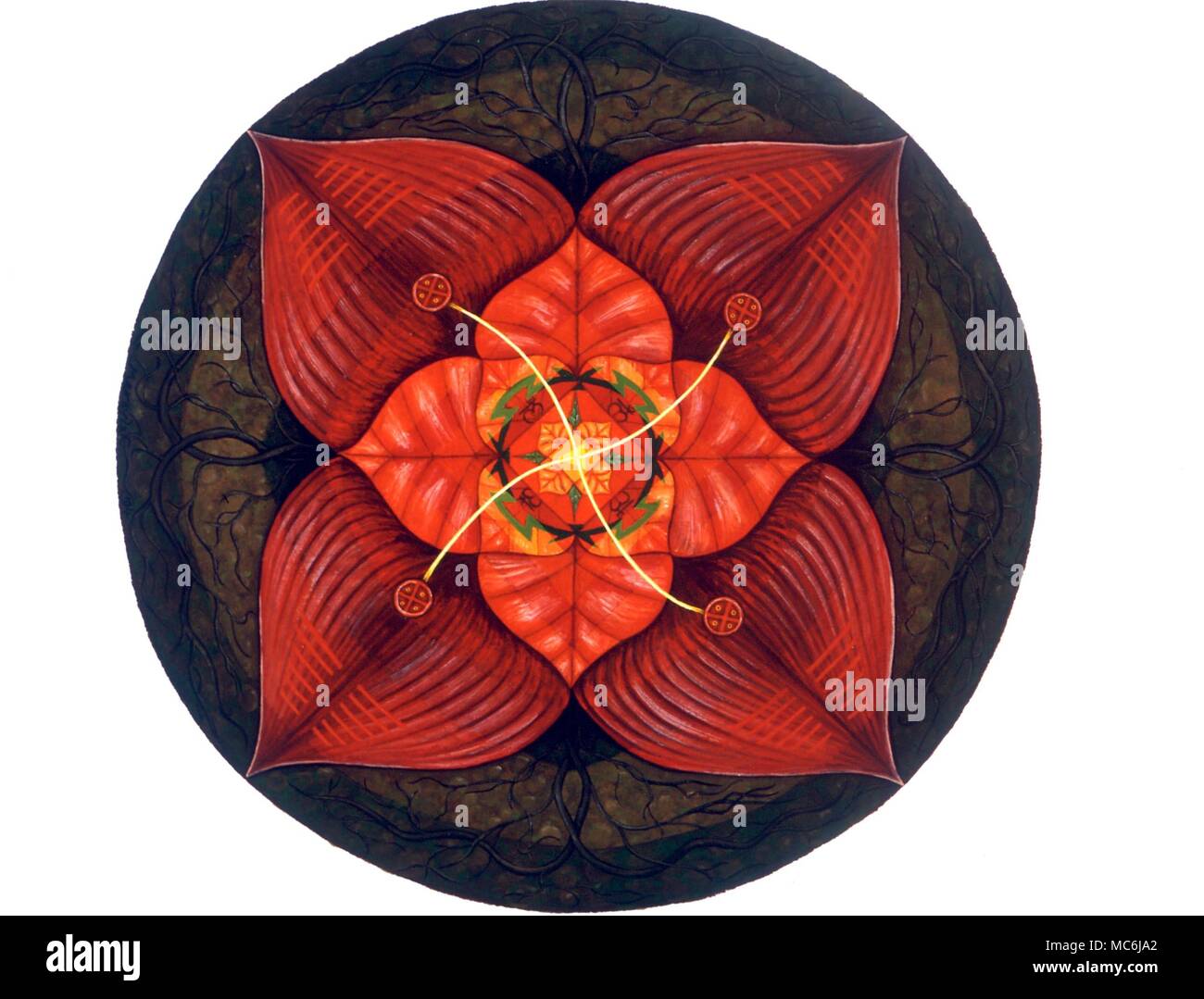 Chakren - BASALE CHAKRA. Die basale oder Muladhara Chakra, mit vier Blütenblättern unter Genitalien entfernt. Speziell in Auftrag gegebenen Kunstwerken von Meraylah Allwood Stockfoto