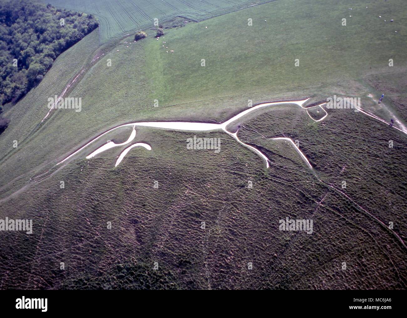 Antenne Großbritannien. Uffington White Horse, etwa 400 Meter von der Uffington fort. Dies ist der älteste White Horse in Großbritannien Zurück zur Eisenzeit datiert. Die Abbildung ist 360 Meter lang Stockfoto