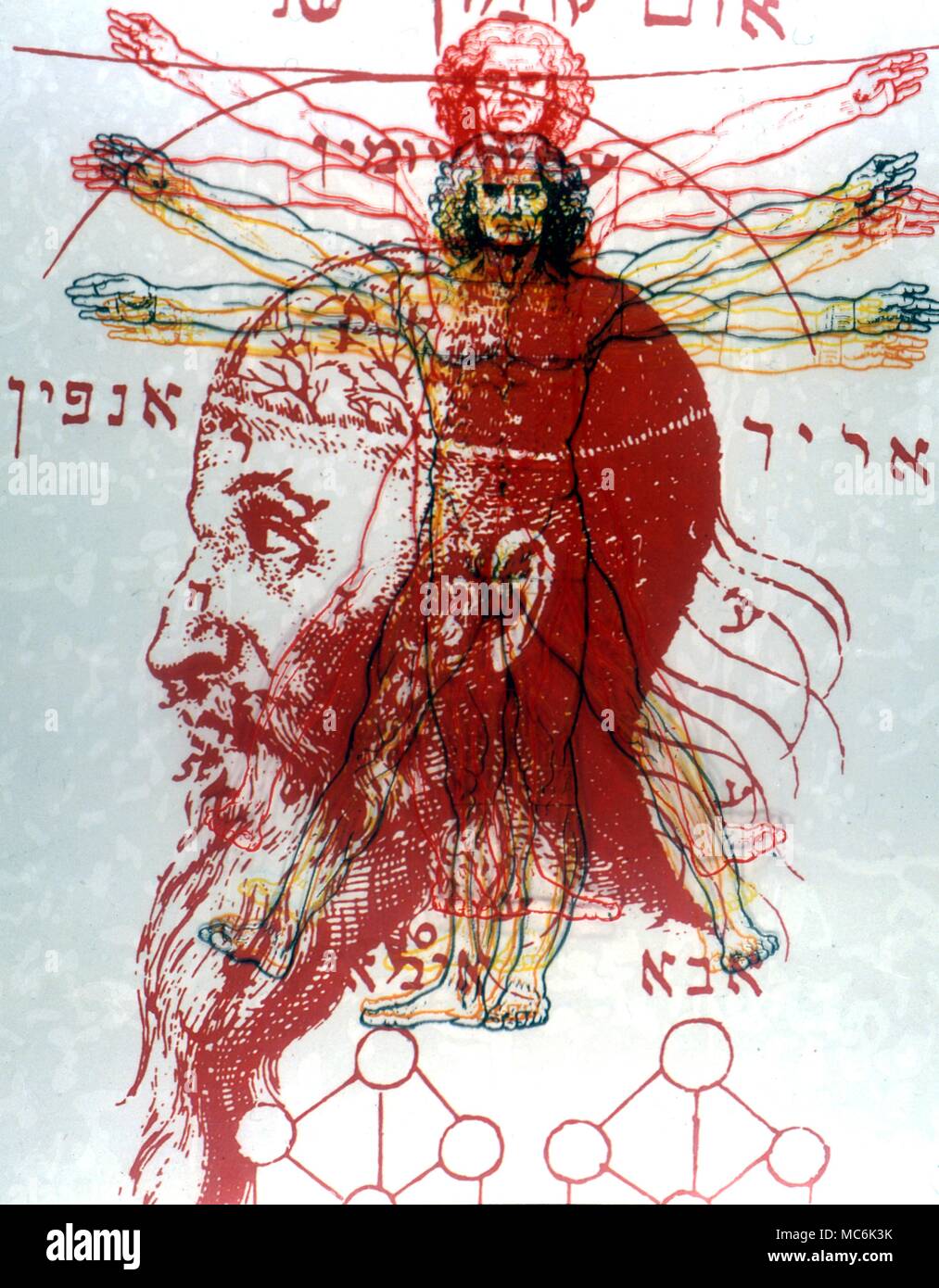 Kabbala Adam Kadmon der Kopf von Adam Kadmon überlagert mit Zeichnungen der heilige Mann der göttlichen Proportionen wie dran von Leonardo da Vinci Kabbala n: manchmal als Kabbala hat zwei Bedeutungen; der erste eine Körper der mystischen Lehren der rabbinischen Ursprungs, die auf eine esoterische Interpretation der Hebräischen Schriften basieren. Die Kabbala ist auch als Geheimlehre ähneln diese Lehren bekannt. Ein traditionell geheime esoterische oder okkulte Angelegenheit die Sephirothic Baum besteht aus zehn Globen von leuchtenden Glanz in drei vertikale Spalten angeordnet und durch 22 Kanäle oder Pat angeschlossen Stockfoto