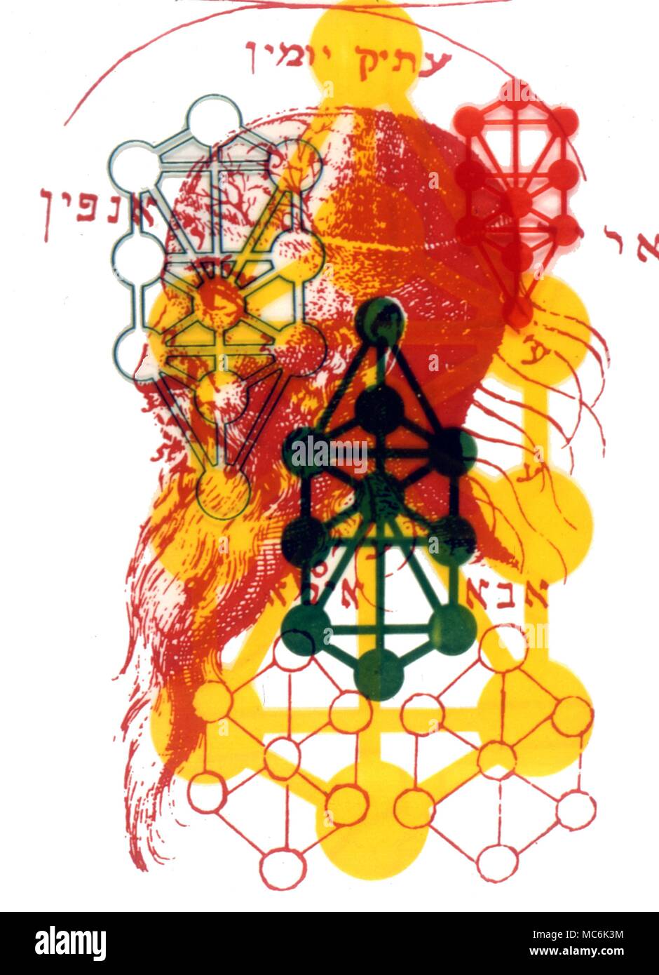 Kabbala Adam Kadmon der Kopf von Adam Kadmon überlagert mit dem Sephirothic Baum oder Baum des Lebens Kabbala n: manchmal als Kabbala hat zwei Bedeutungen; der erste eine Körper der mystischen Lehren der rabbinischen Ursprungs, die auf eine esoterische Interpretation der Hebräischen Schriften basieren. Die Kabbala ist auch als Geheimlehre ähneln diese Lehren bekannt. Ein traditionell geheime esoterische oder okkulte Angelegenheit die Sephirothic Baum besteht aus zehn Globen von leuchtenden Glanz in drei vertikale Spalten angeordnet und durch 22 Kanäle oder Pfade verbunden. Stockfoto