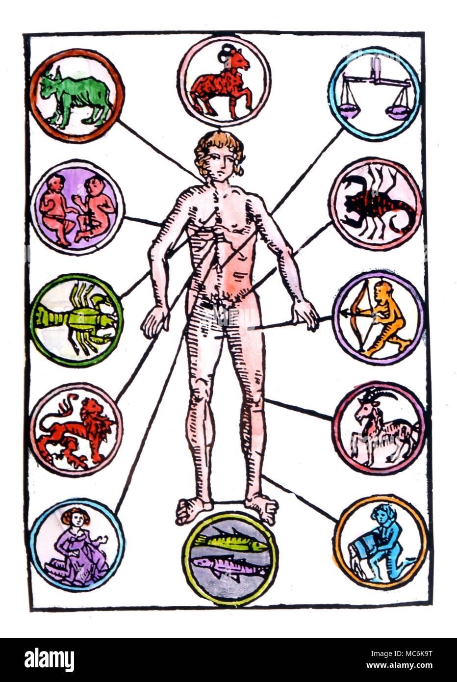 Sternzeichen Mann. Melothesic Abbildung mit den Tierkreiszeichen Bilder in roundels. Nach einem späten 15. Jahrhundert Deutsche Holzschnitt Stockfoto