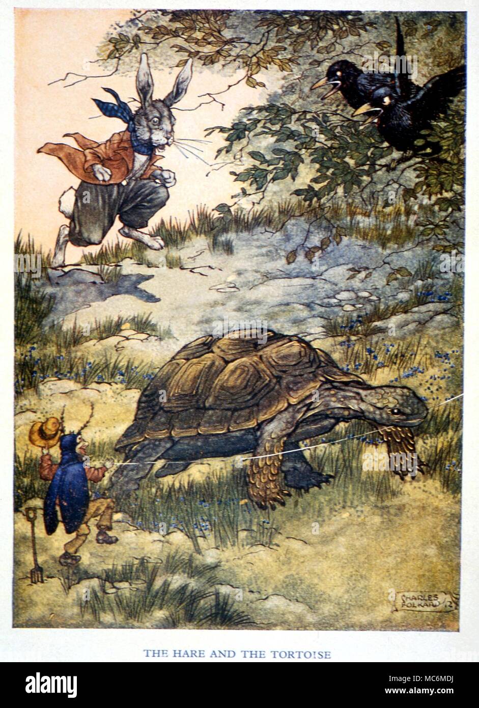 Märchen - Fabeln von Äsop. Der Hase und die Schildkröte. Abbildung von Charles Folkard zu Aesops Fabeln, 1912 Stockfoto