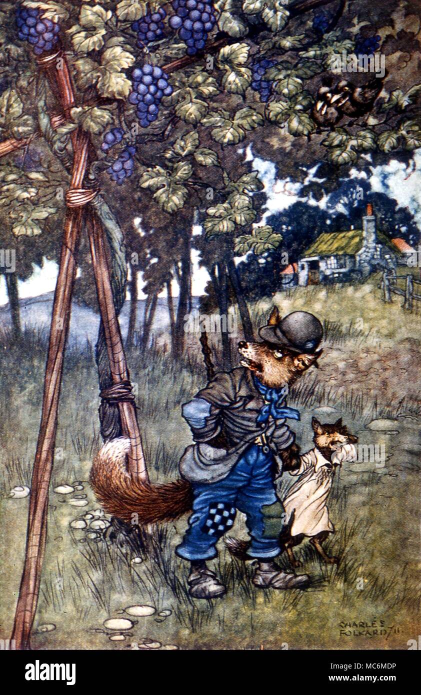 Märchen - Fabeln von Äsop. Der Fuchs und die Trauben. Abbildung von Charles Folkard zu Aesops Fabeln, 1912 Stockfoto