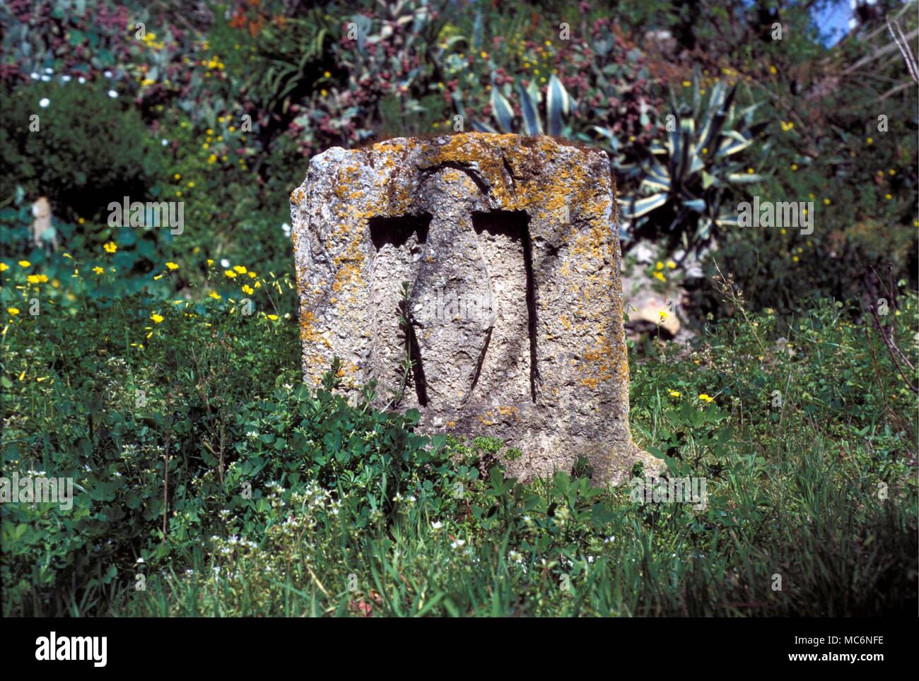 Tunesien Tophet Gräber und Denkmäler in der TOPHET in der Nähe von Carthage (moderne Tunis), in dem die Grabstätten der alten geschichtsträchtigen Sehenswürdigkeiten Göttern geopfert zusammen mit einem Wasser gebunden Hypogeum beibehalten wird Stockfoto