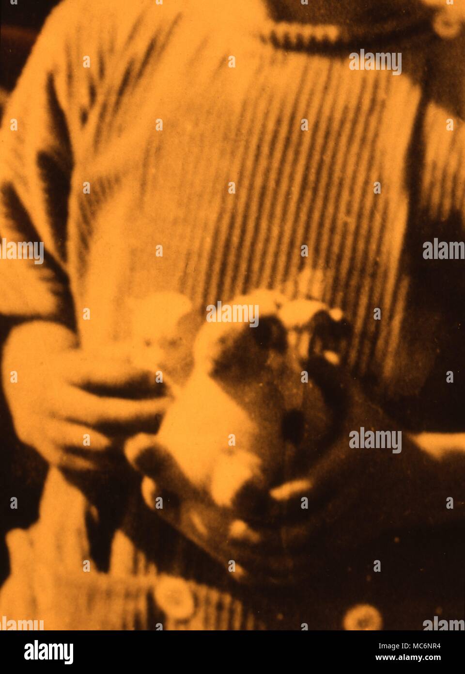 Detail der Junge mit einem Stofftier, vor w elche kann den Leiter der ein Kätzchen gesehen werden. Das Bild, von großen Allistone, in Clarens, Schweiz, während 1925, war der Junge, der nicht wusste, dass er der Geist der pet-Kätzchen gedrückt wurde. Das Tier hatte Kiled ein wenig früher gewesen, durch einen Hund. Stockfoto