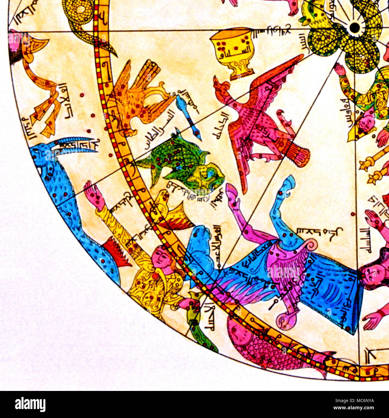 19. Jahrhundert "Arabisch"-Karte. Den Quadranten, in diesem Detail umfasst das fliegende Pferd Pegasus, Aquila [der magenta- und orange Vogel] und Delphinus [der Grüne Fisch]. Stockfoto