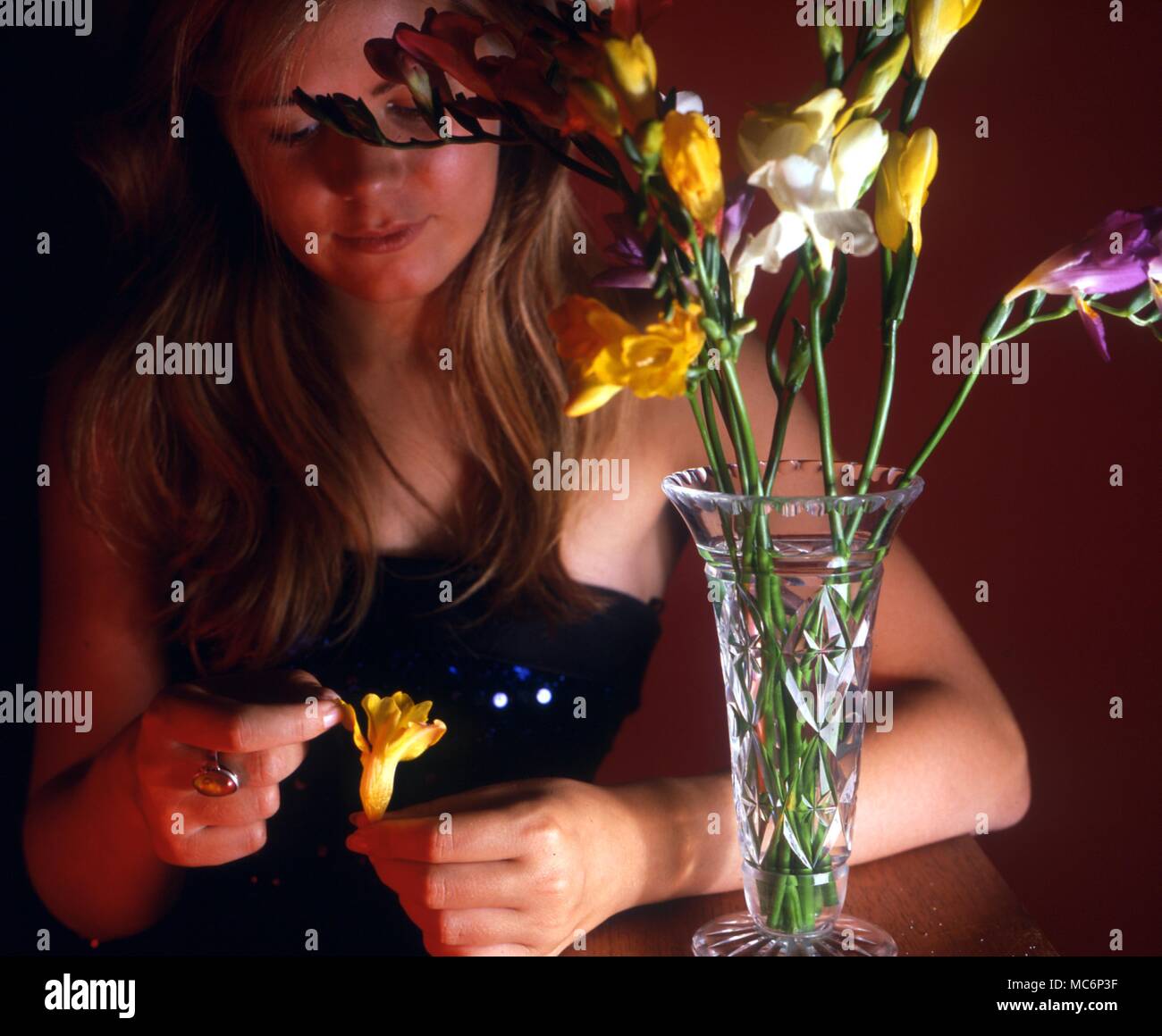 Die Zukunft vorausgesagt, oder Erkennen von einem Liebhaber, durch die Blütenblätter. 2004 Charles Walker/ Stockfoto