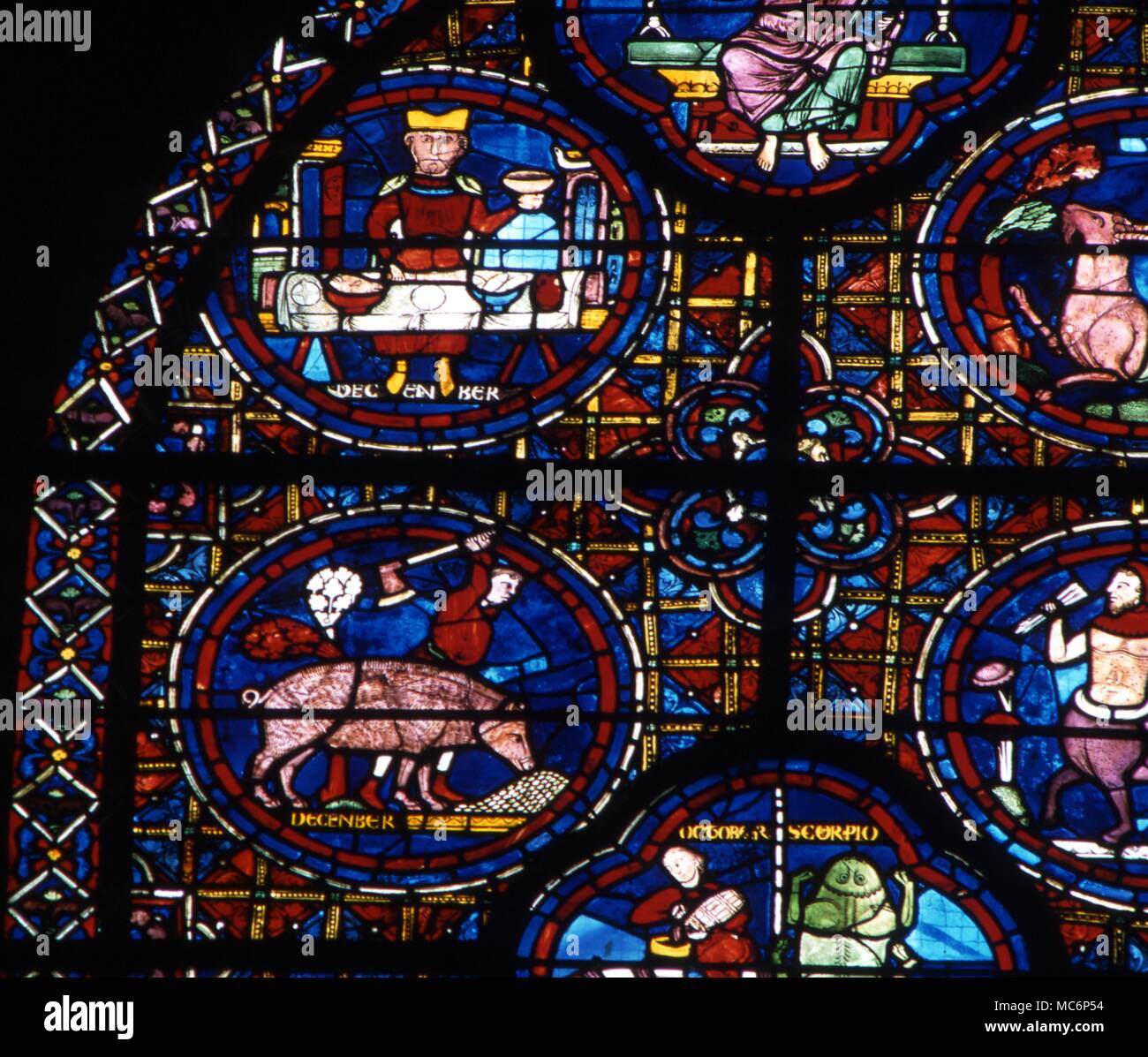 Roundels in der Glasmalerei, der zwei Bilder für Dezember. Die Lateinische auf der unteren roundel ist falsch: Es zeigt November nicht im Dezember. Zwölften Jahrhundert, Chartres Kathedrale. 2004 Charles Walker/ Stockfoto