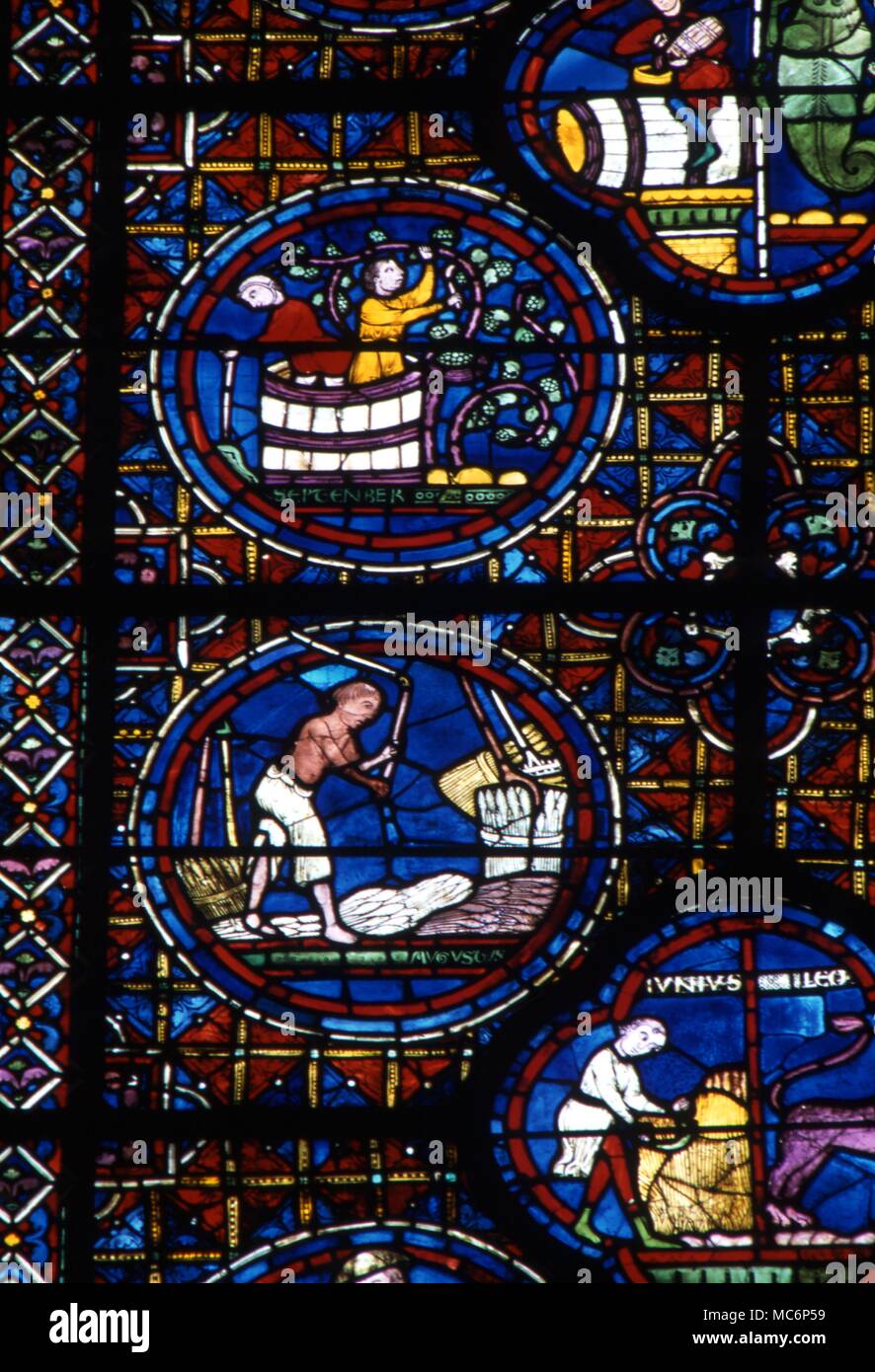 Roundels in der Glasmalerei, der die Bilder für September und August. 12. Jahrhundert, Chartres Kathedrale. 2004 Charles Walker/ Stockfoto