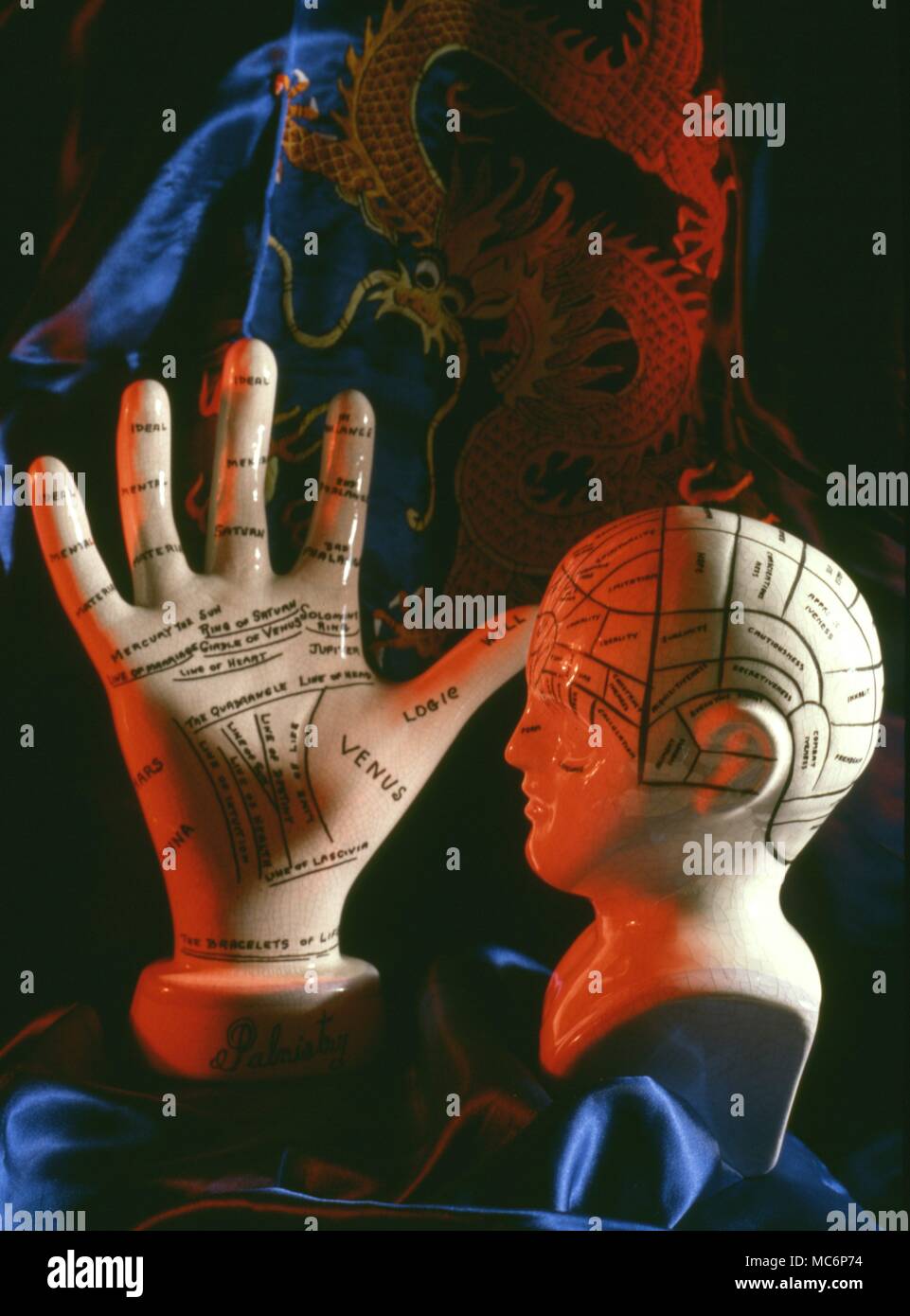 Palmists Anzeige Hand, mit einem Phrenological Büste. Diese waren die beiden beliebtesten Formen der Wahrsagerei und Zeichen lesen im 19. Jahrhundert. Stockfoto