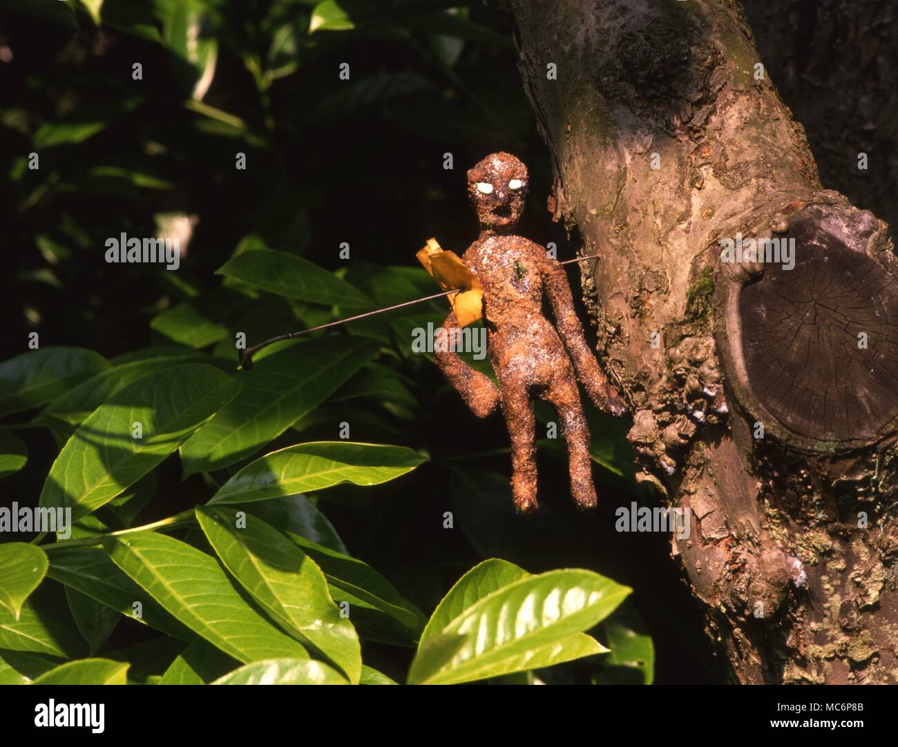 Fluch doll, einen gefertigten Puppe, aufgespießt auf einen Baum, um schmerzhafte Erkrankung oder des Todes des Opfers auf der aufgespießt Blatt Papier zu bringen. Stockfoto